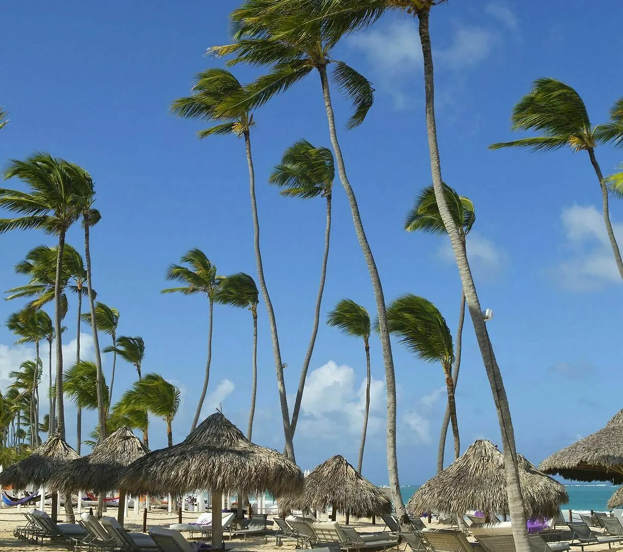 בווארו Royal Service At Paradisus Punta Cana (Adults Only) 5*,