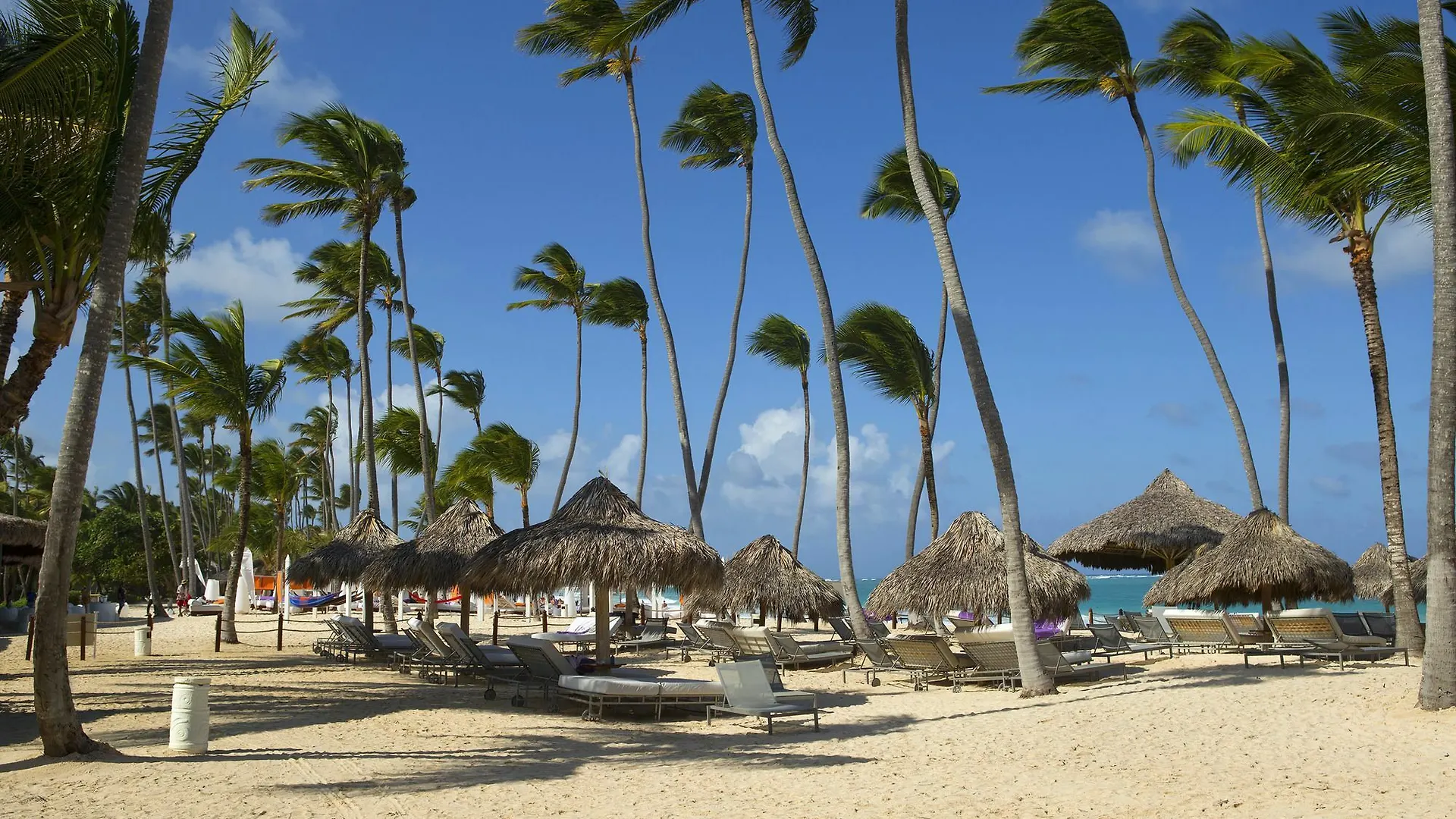 בווארו Royal Service At Paradisus Punta Cana (Adults Only) 5*,
